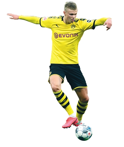 游泳训练与备战动态 专项调整持续推进