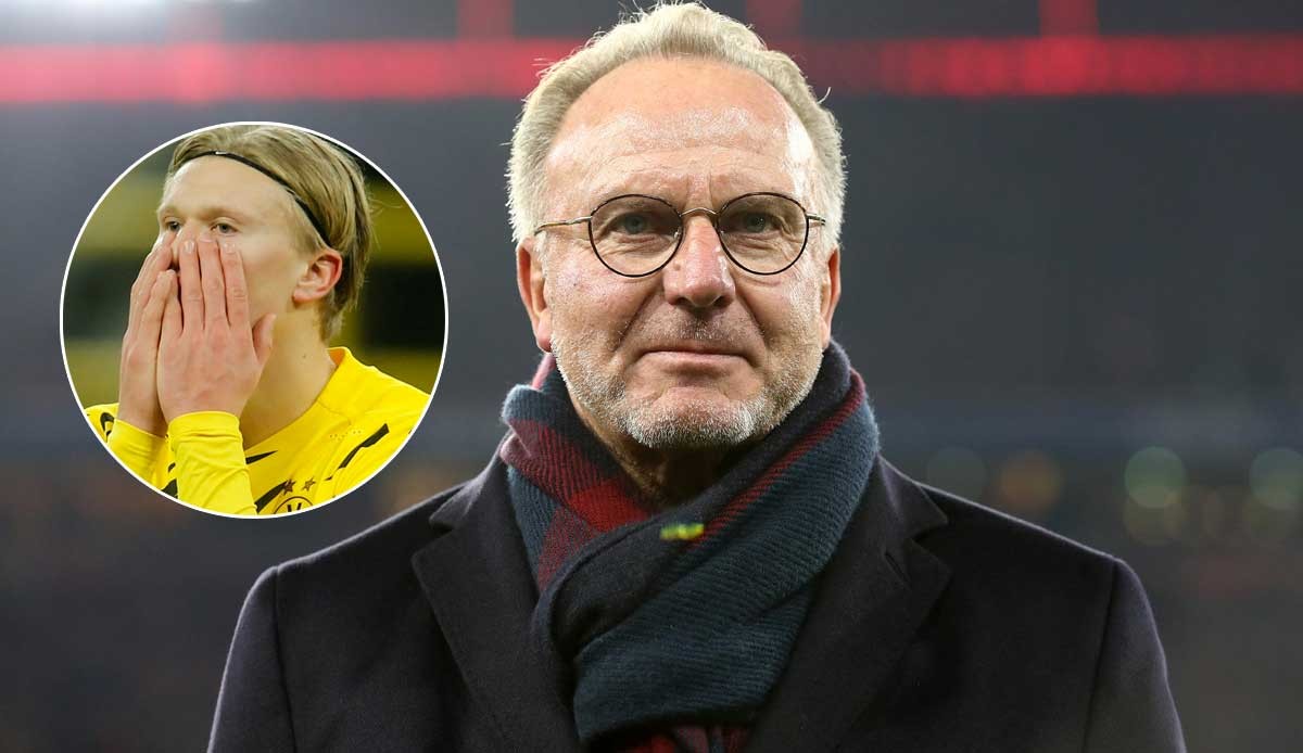 英雄联盟青训体系最新发展动向